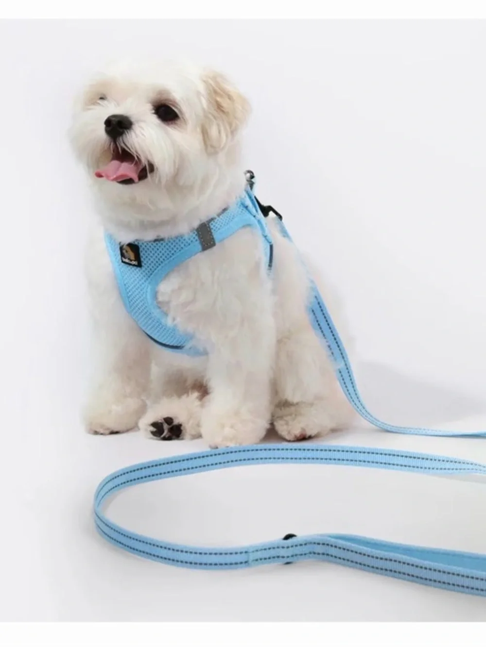 🫶🏻 Bella & Pal Oxymesh Light Blue Dog Harness and Leash Set